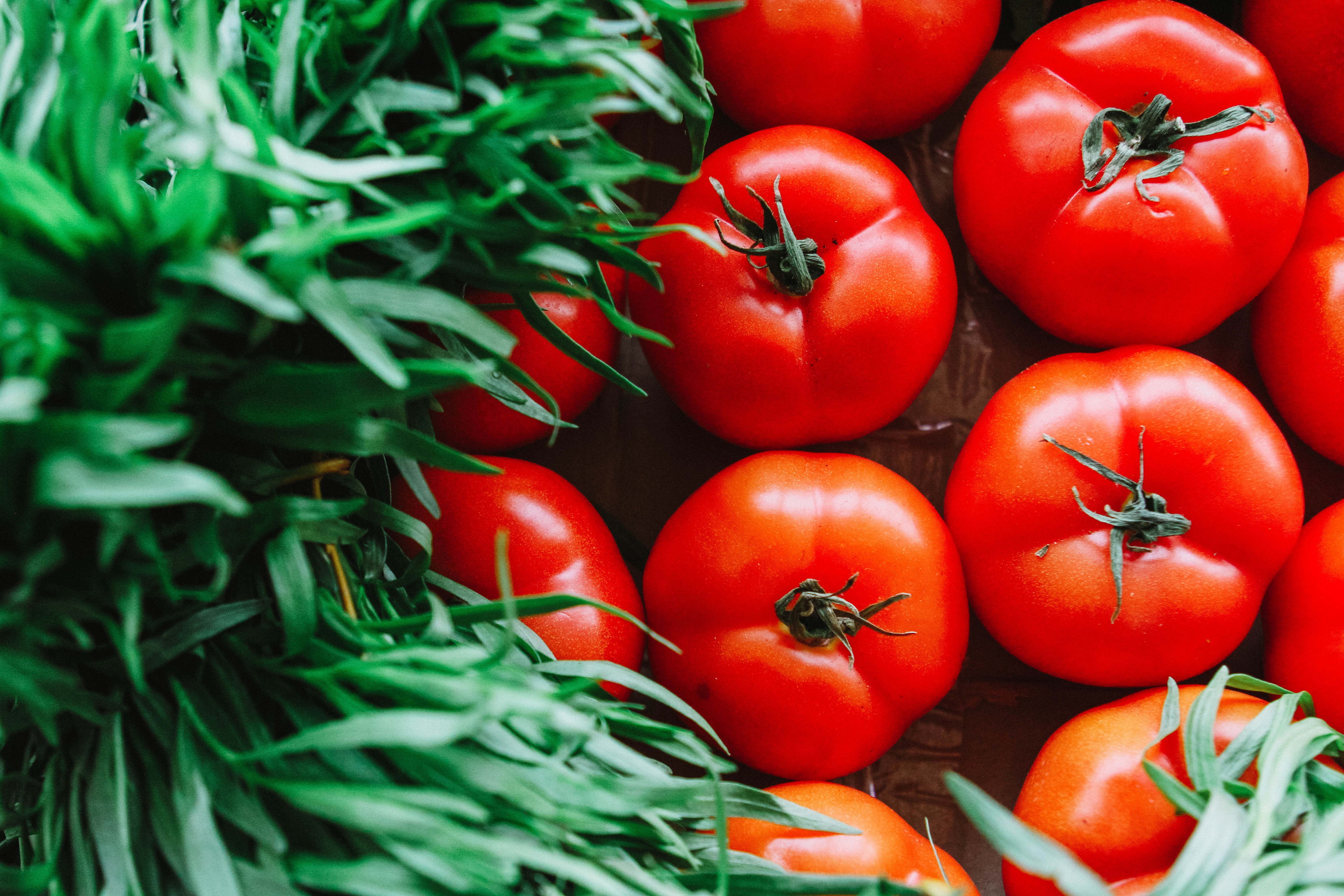  Learn about the organic practices to grow amazing heirloom tomatoes.